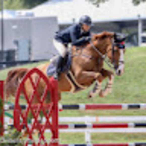 Meet your Posher, Emma - Picture 1 of 1